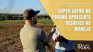 Super safra no Paraná apresenta desafios no manejo