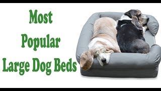 Most Popular Large Dog Beds In American Amazon Best Large Dog Beds.