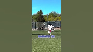 Should have caught that #mlsnext #cityscmlsnext #goalkeeper #catchthat