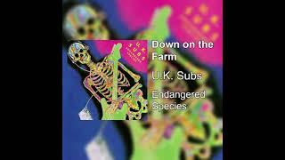 U.K. Subs - Down on the Farm D#/Eb tuning