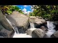 🎋 Japanese Zen, Bamboo Flute, Meditation Music, River Sounds, Relaxation 🌊 Temple Stream Calm