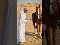 Habibi Hayya Maaz Safder Dress Up Arabic Style Shorts Youtubeshorts Habibi Hayya Maaz Safder Dress Up Arabic Style Shorts Youtubeshorts