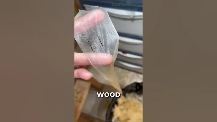 The Thinnest Wood Shaving In Japan