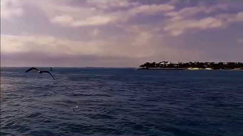 Mike Malak -Changes in Latitude (tropical rock cover, lyrics)