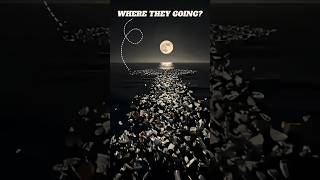 The Great Pacific Garbage Patch 😲#shorts #facts