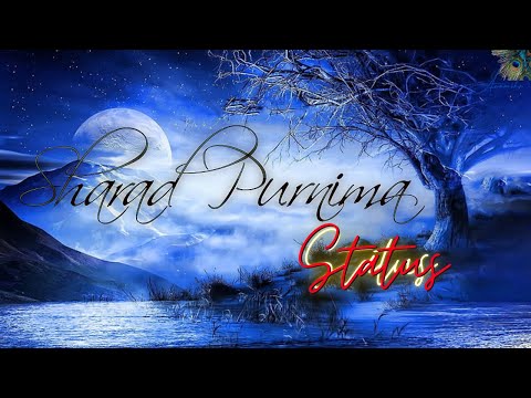 Sharad Purnima 2024 | sharad purnima whatsapp status | Happy Sharad Purnima | WhatsApp Status Video