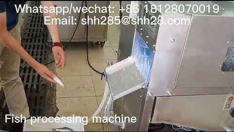 Automatic fish processing machine fish cleaning machine fish fillet cutting machine seafood machine