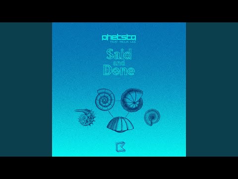 Reija Lee, Phetsta - Said & Done (Mind Electric Remix Instrumental) [feat. Reija Lee]