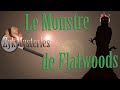 Le monstre de flatwoods