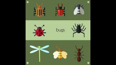 bugs design