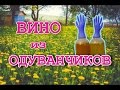 ВИНО ИЗ ОДУВАНЧИКОВ. Простой пошаговый рецепт. Летичів