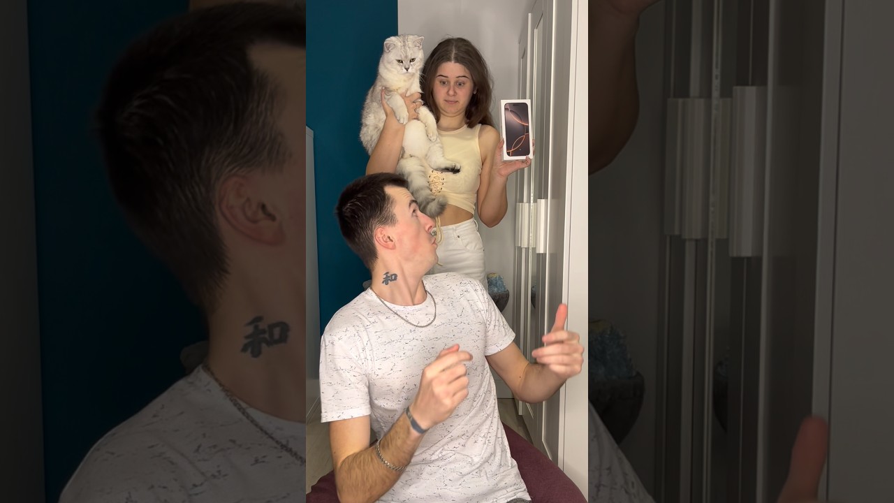 Что бы вы выбрали? 🤔🙀 Подпишитесь, чтобы поддержать😺❤️ 