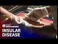 The Island Resort That Was Hit With A Bacterial Disease | Diagnosis Unknown | Real Responders