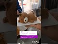 #china #гуанчжоу #food #shorts
