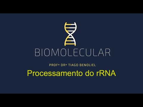 Vídeo: Qual é a função do rRNA 16s?