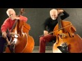 Flight of the bumblebee for two double basses