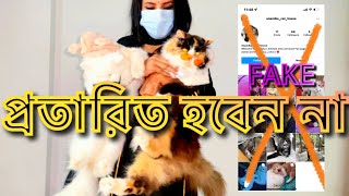 প্লিজ কেও প্রতারিত হবেন না ॥ পুর ভিডিওটা দেখার অনুরোধ রইলো #cat #catlover #dog #birds