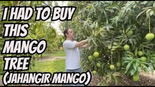 I had to buy this Mango Tree screenshot 2