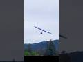 One TeaSpoon of Zen-Tonic #aladelta #hanggliding