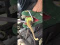 try to pay attention to what happens‼️#blacksmith #satisfying #asmr