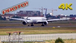 Airbus A350 1000 Proto F-Wmil