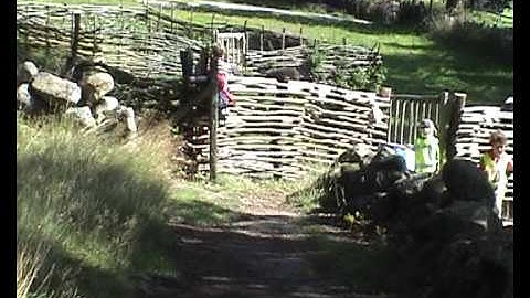 VITLYCKE Rock Carvings SWEDEN.avi