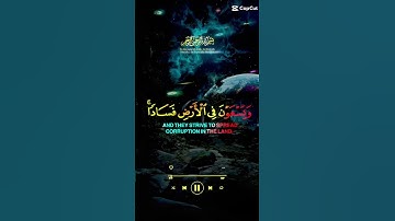تلاوة من القرآن الكريم بصوت جميل #قرآن #قران_كريم #المصحف #قران