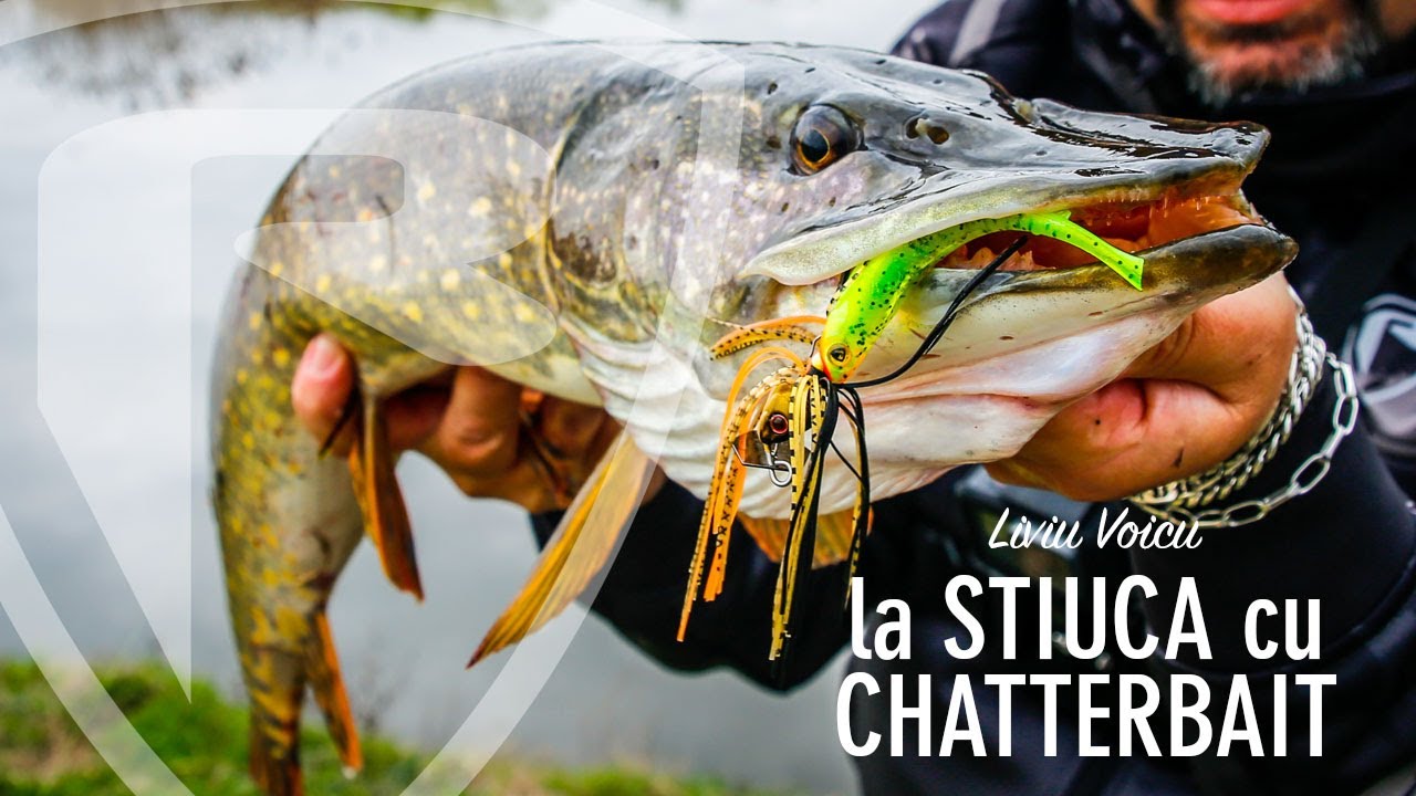 Pescuit la stiuca cu jiguri Fox Rage Chatterbait Bladed
