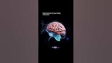 What If Your Brain Never Forgot Anything? 🧠 | Science Explained#shorts#brain#forget