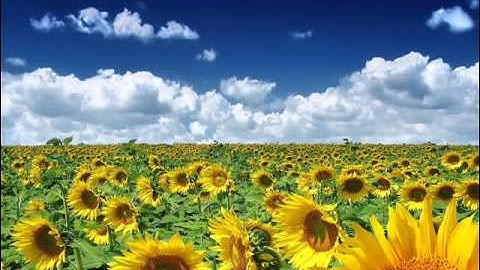 زكي داغستاني سورة AlHumazah_الهمزة