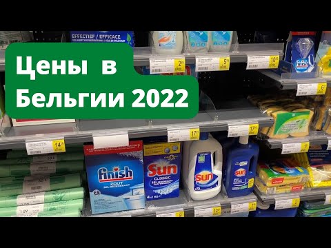 Цены в Бельгии 2022. Жизнь украинских беженцев за границей