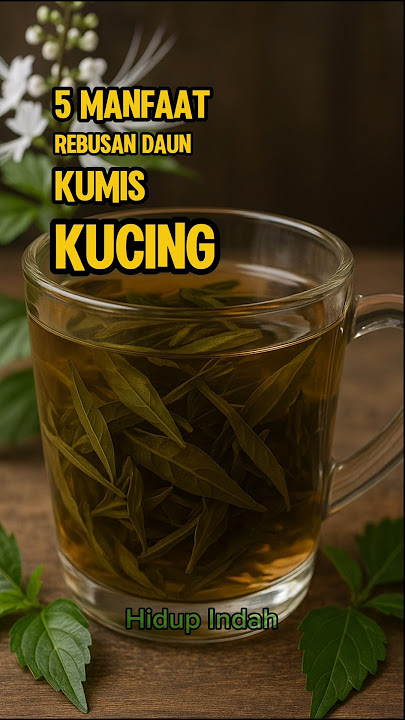 5 Manfaat Rebusan Daun Kumis Kucing