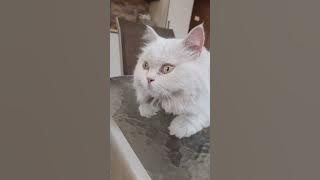 Download lagu Just now got home from outside 