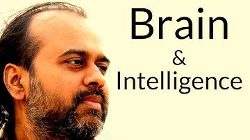 Brain and Intelligence || Acharya Prashant, with youth (2012)