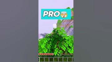 Minecraft NOOB vs PRO 🤯 MLG clutch ! #minecraft