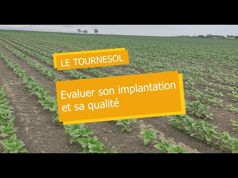 Comment évaluer l'implantation