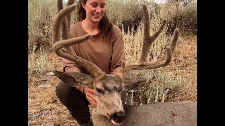 PITCH PEAK Limited Entry Mule Deer Hunt Pt. 2 ( Brooke's Buck ) Brandon Pitcher