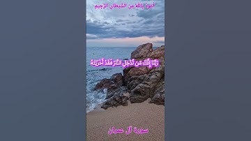 🌺القرآن الكريم 🌺ما تيسر من سورة آل عمران