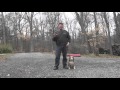 Winston Salem Beagle Dog Training | Scout Winston Salem Beagle Dog Training | Scout