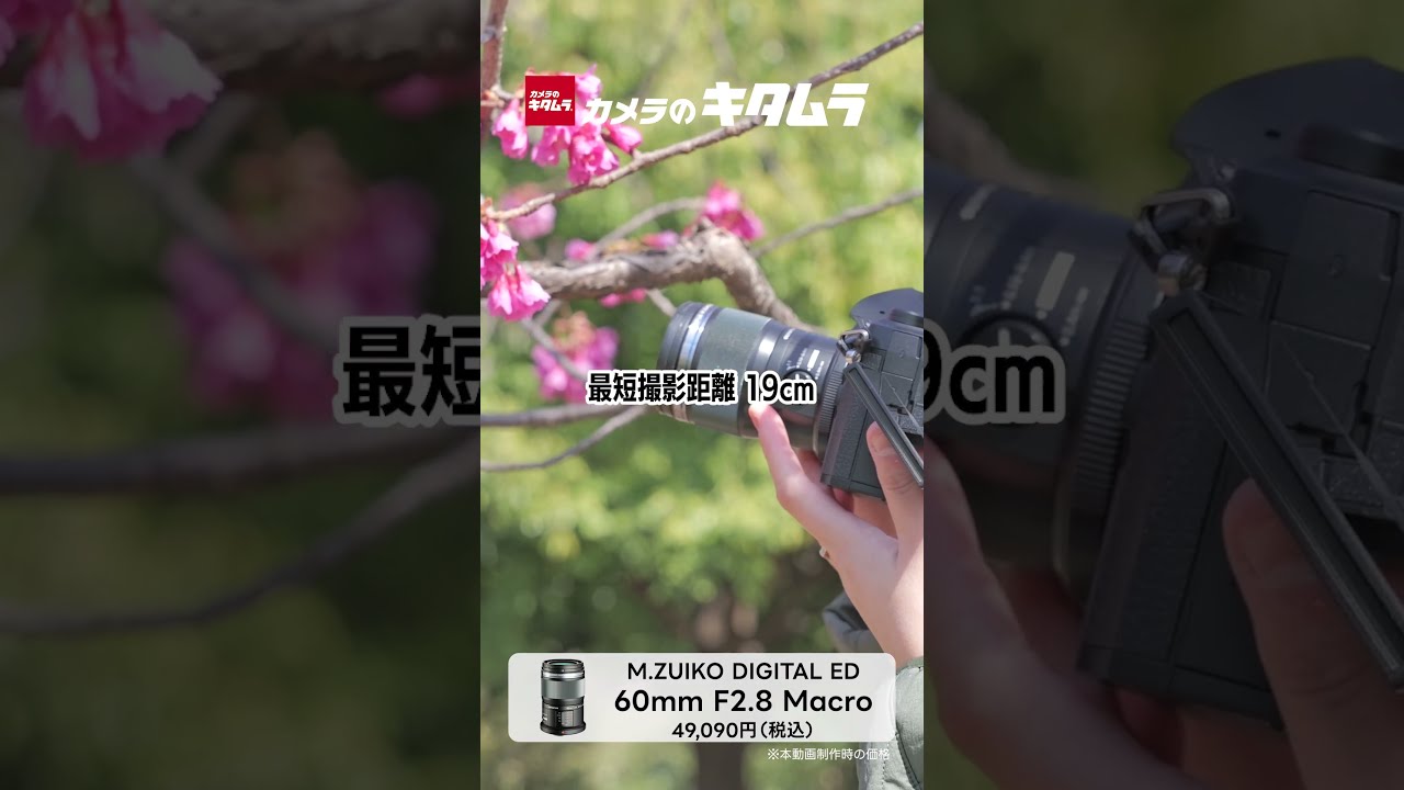 桜開花！60mmマクロレンズで一味違った撮影を | M.ZUIKO DIGITAL