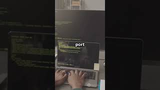 Famous Why Hackers Love Python  2025 04 22 Wealth