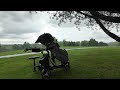 Axglo E5: Rain-Ready or Risky? 🌧️⛳ #shorts #golfgear