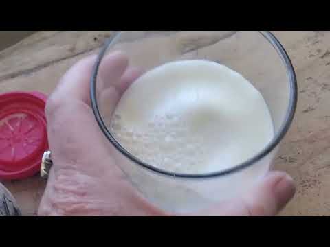 Jackarandas and a California Milk Tasting