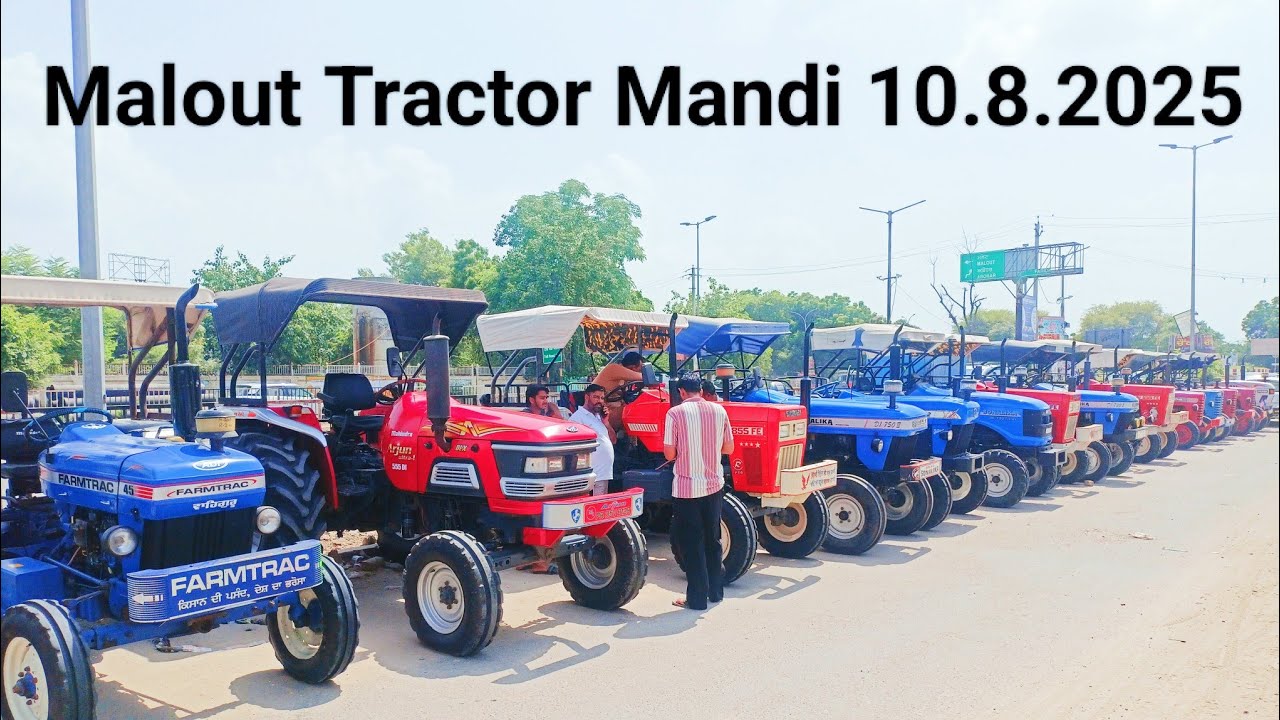 Malout Tractor Mandi 10.8.2025 // ਮਲੋਟ ਟਰੈਕਟਰ ਮੰਡੀ ਪੂਰੀ ਮੰਡੀ ਦੀ ਵੀਡੀਓ #ਟਰੈਕਟਰਮੰਡੀ #tractorvideo 