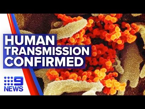 coronavirus:-first-human-to-human-transmission-in-australia-|-nine-news-australia