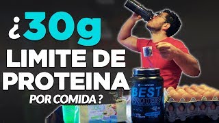 ¿Cuánta PROTEÍNA puedes COMER EN UNA SOLA COMIDA? (30?, 50?, 100?)