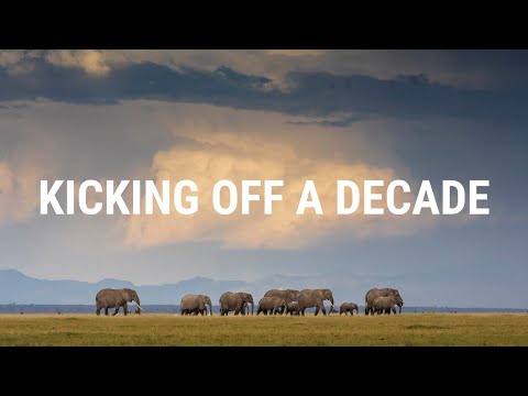 वीडियो: कैसा था विश्व पर्यावरण दिवस