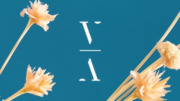 Huminal & ORACLE - No Return