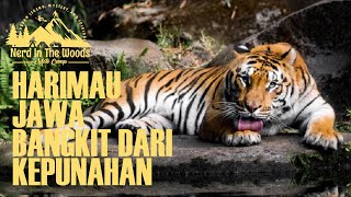 Penampakan Harimau Jawa di Berbagai Daerah, Apakah Bangkit dari Kepunahan?