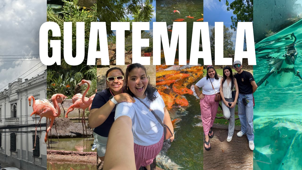 Vlog Guatemala: Zoológico La Aurora y lluvia inesperada 🇬🇹🙉🦘🌟